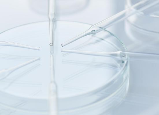 Tout savoir sur les antioxydants : Gluthation, Vitamine C & Vitamine E