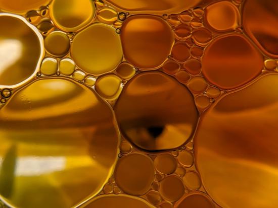 Huile de Jojoba 