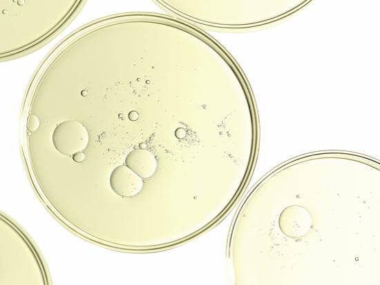 Niacinamide