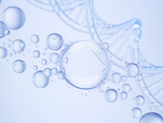 Probiotic Complex